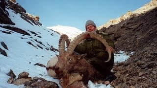 IBEX TIAN SHAN KIRGHIZSTAN hunting Chasse since 1990 by Seladang [upl. by Enovahs]