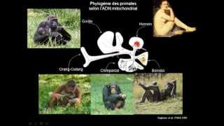 23 Le processus de lévolution biologique  Sélection naturelle de Darwin à la génomique évolutive [upl. by Harhay]