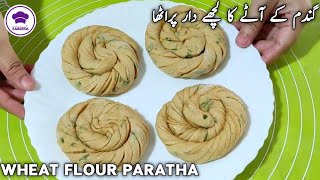 Lachedar Crispy Masala Paratha Recipe  Wheat Flour Crispy Paratha Recipe [upl. by Lejeune]