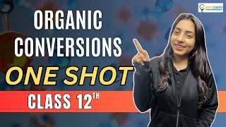 All ORGANIC CONVERSIONS of NCERT Class 12 ONESHOT  Boards  NEET neet cbse cbseboard neet2024 [upl. by Shantha]