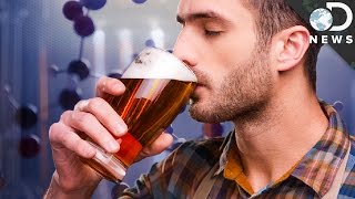 Creating The Perfect Craft Beer with Genetic Engineering [upl. by Arteid]