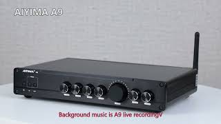 AIYIMA A9 51CH Bluetooth 50 Power Amplifier [upl. by Blakeley]