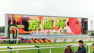 鉄オタ必見本馬場入場曲 京都競馬場 第69回 京阪杯（G3）本馬場入場シーン [upl. by Anail]