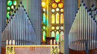 Sagrada Familia organ Barcelona Spain [upl. by Rives]