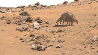 NASA Released Stunning New Video Of Red Mars  NASAs Perseverance New Footage Of Red Planet Mars [upl. by Nomde]