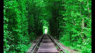 Tunnel of LOVE Klevan Ukraine [upl. by Isoj]