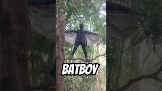 Batboy no Batman sanjayfunnyboy [upl. by Eisiam439]