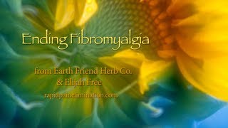 Ending Fibromyalgia [upl. by Onaicul650]