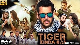 Tiger Zinda Hai Full Movie  Salman Khan  Katrina Kaif  Sajjad Delafrooz  Review amp Facts HD [upl. by Hameean]