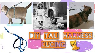 DIY Tali Harness Kucing Dengan Tali Rafia  Tali Tuntun KucingAnjing  Tali JalanJalan Untuk Hewan [upl. by Noterb768]