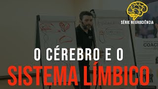 O Cérebro e sistema límbico [upl. by Yrolg]