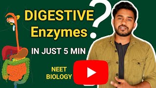 Digestive enzymes  in hindi  digestion and absorption Human physiology  neet2020 biology [upl. by Witte781]