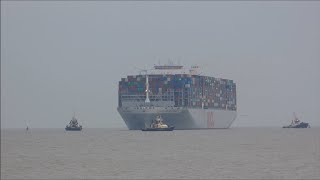 Complications delay the tide restricted OOCL United Kingdoms arrival to Felixstowe 28th April 2023 [upl. by Miguelita]