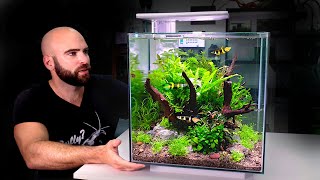 ALL IN ONE CUBE aquarium kit jungle style planted tank w ROCKET Killifish [upl. by Thurman955]