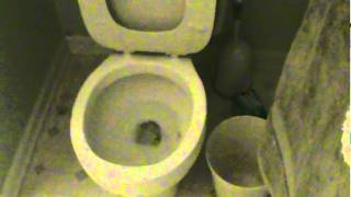 Exploding Toilet [upl. by Giddings]