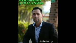 PA QUE SUFRAN NORBEY ATEHORTUA LA VOZ DE LA CANTINA CONTACTOS WHATSAPP 3022191892 [upl. by Tnemelc508]