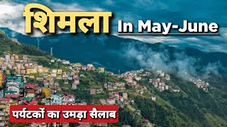 Tourist में Shimla का क्रेज  Shimla  Shimla in Summer  Shimla Tourist Places shimla [upl. by Intruok]