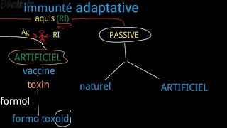 immunité adaptative acquisL2 [upl. by Dualc]