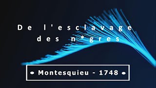 De lesclavage des nampgres  Prétexto 15 Montesquieu esclavage racisme encyclopédie [upl. by Ludie]