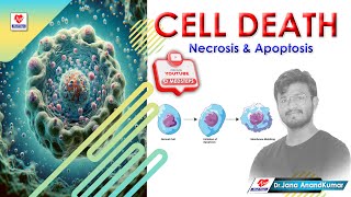 Apoptosis Vs Necrosis  Comparison  Cell Death  Pathology Lecture mbbs trending viral 2023 [upl. by Attenreb]