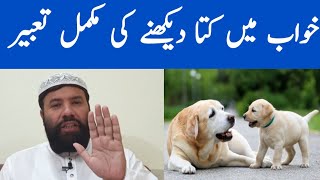 Khwab mein kutta dekhna  dog dream meaning  khwab mein kutta dekhne ki tabeerخواب میں کتا دیکھنا [upl. by Thia]