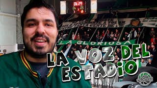 VLOG  LA VOZ DEL ESTADIO Villa Mitre de Bahía Blanca [upl. by Nitsirk145]