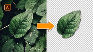 Como RECORTAR una IMAGENOBJETO en ILLUSTRATOR  ELIMINARBORRARQUITAR FONDO A IMAGENES  TUTORIAL [upl. by Georgi]