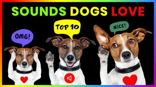 Top 10 Sounds Dogs Love GUARANTEED [upl. by Tingey]