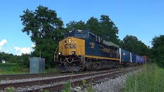 The CSX BampO Heritage Unit [upl. by Louis87]