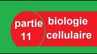 cours biologie cellulaire partie 11 ADN et ARN  البيولوجيا بالدارجة [upl. by Luht]