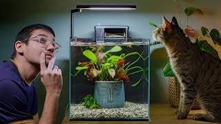 I built a cool aquarium for my Betta fish  Easy Aquascaping Tutorial [upl. by Yetsirhc125]