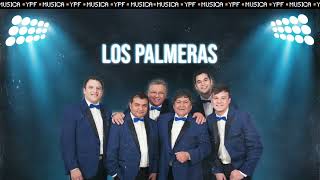 Ya llega Los Palmeras [upl. by Karylin]