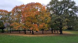 Stadtpark Schöneberg [upl. by Atinauj]