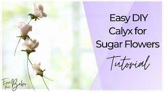 DIY Sugar Calyx for Cake Decorating ⎸ Sugar Flower Calyx Tutorial [upl. by Norej543]