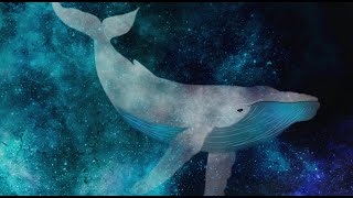 Space whales Experimental Electronic music Ambient Soundscape Neutron Korg sq64 ipad pro [upl. by Trudy]