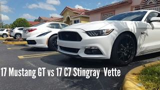 S550 Mustang GT 50 vs C7 Corvette Stingray [upl. by Mixie664]