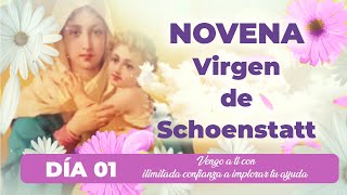 🌷01 NOVENA SCHOENSTATT DíA 01 Vengo ante ti con ilimitada confianza a implorar tu ayuda 🌷 [upl. by Ecnarret642]