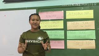 Teaching Demo 8 basic steps of chacha [upl. by Elkin3]