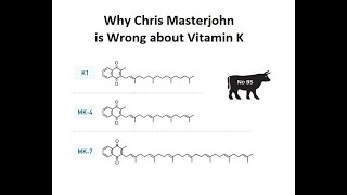 Why Chris Masterjohn is Wrong about Vitamin K [upl. by Acirretahs687]