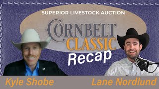 Exceptional Cattle Prices 2024 Corn Belt Classic [upl. by Jameson]