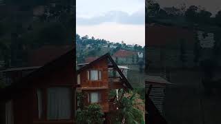 View The Juicery Lembang pesonaalam nature shortvideo shortsfeed shortsviral shorts short [upl. by Thissa992]