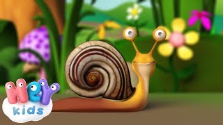 Petit Escargot  Chansons Pour Bébés  HeyKids [upl. by Aetnahc]