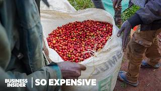 Why SingleOrigin Coffee Is So Expensive  So Expensive Food  Insider Business [upl. by Ober]