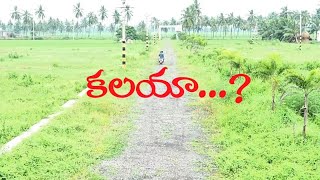 KALAYAA TELUGU SHORTFILM RAMANAIDU ENTERTAINMENTS [upl. by Judson]