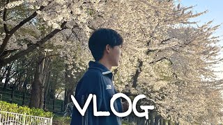 신혼vlog｜홍길동보다 바쁜 반려인과 데이트하는 법🙄 생일🍰 벚꽃구경 차이나타운 자유공원 데이트 브이로그 [upl. by Ayo]