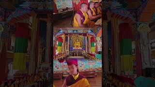 11th mahanirvana anniversary of HH7th karma chakmey rinpoche [upl. by Finn]