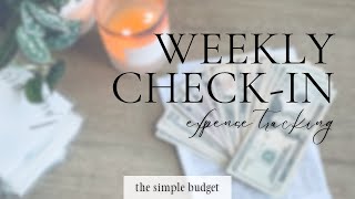 weekly checkin  expense tracking  what i bought this week  zero based budgeting  family budget [upl. by Cahan]