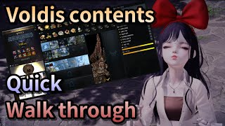 Lost Ark All Voldis contents quick walk through [upl. by Halika]