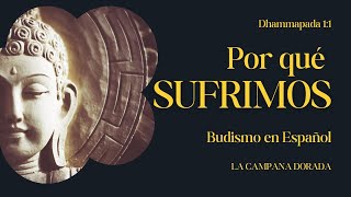 ¿Por qué SUFRIMOS  Budismo en Español  Dhammapada 11 [upl. by Aihsem877]