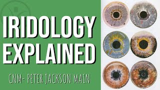 What is Iridology  Peter Jackson Main Naturopath Herbalist Iridologist [upl. by Immas]